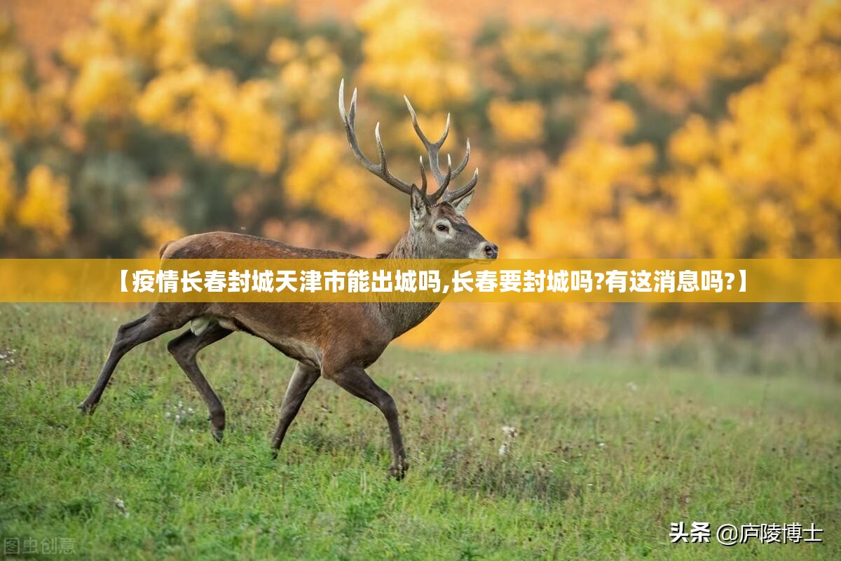 【疫情长春封城天津市能出城吗,长春要封城吗?有这消息吗?】