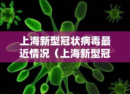 上海新型冠状病毒最近情况（上海新型冠状病毒最近情况怎么样）