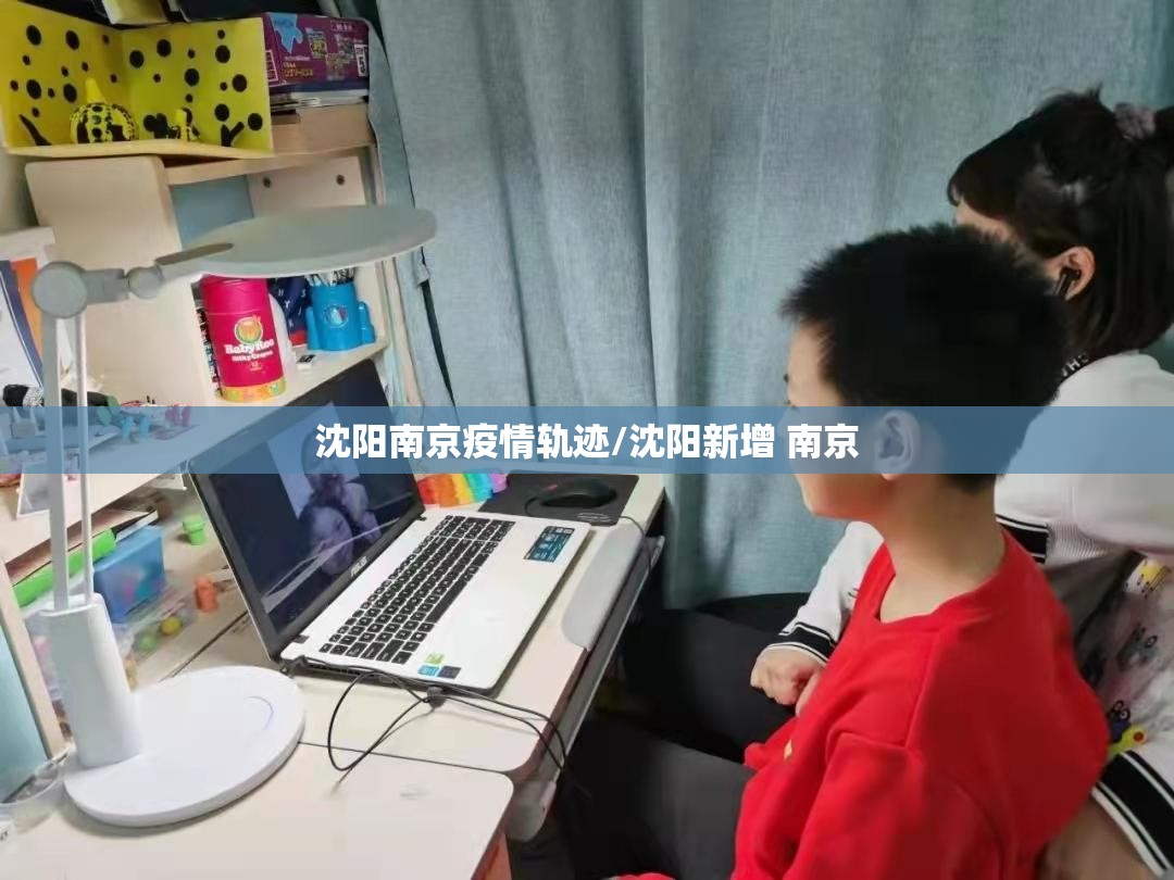 沈阳南京疫情轨迹/沈阳新增 南京