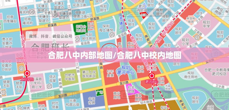 合肥八中内部地图/合肥八中校内地图