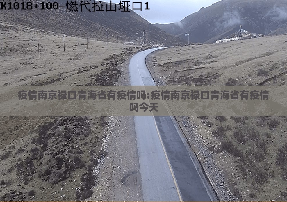 疫情南京禄口青海省有疫情吗:疫情南京禄口青海省有疫情吗今天