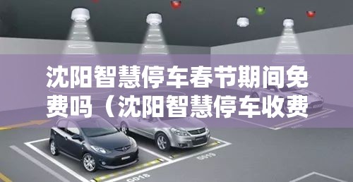 沈阳智慧停车春节期间免费吗（沈阳智慧停车收费时间更改从什么时候开始实行?）