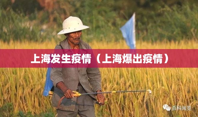 上海发生疫情（上海爆出疫情）