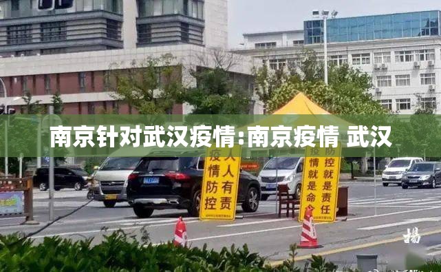 南京针对武汉疫情:南京疫情 武汉