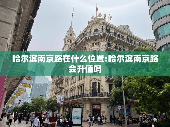 哈尔滨南京路在什么位置:哈尔滨南京路会升值吗