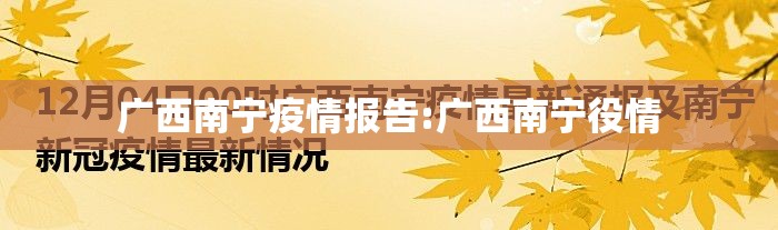 广西南宁疫情报告:广西南宁役情