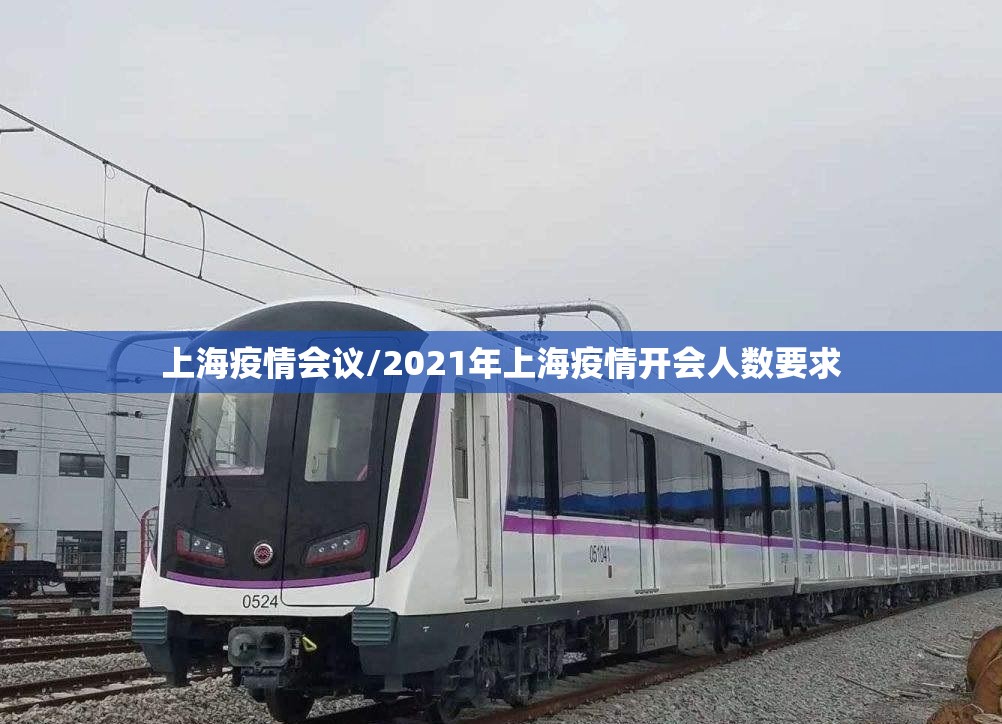 上海疫情会议/2021年上海疫情开会人数要求