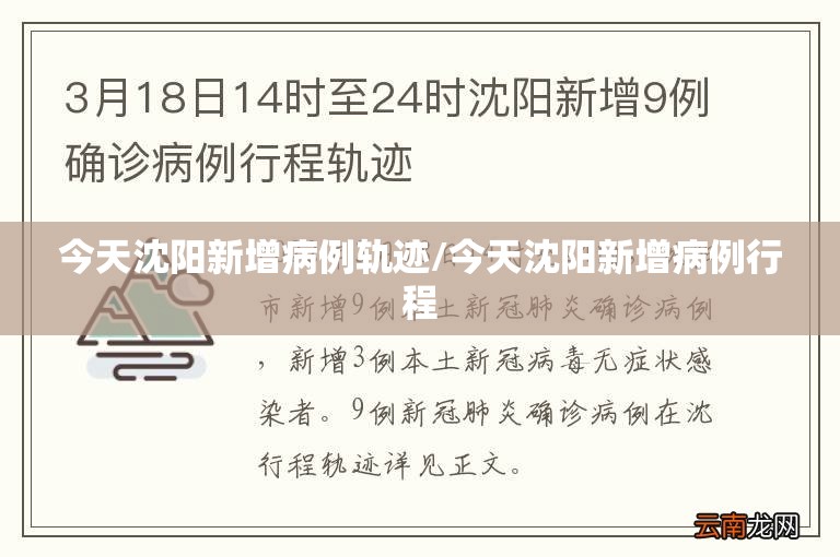 今天沈阳新增病例轨迹/今天沈阳新增病例行程