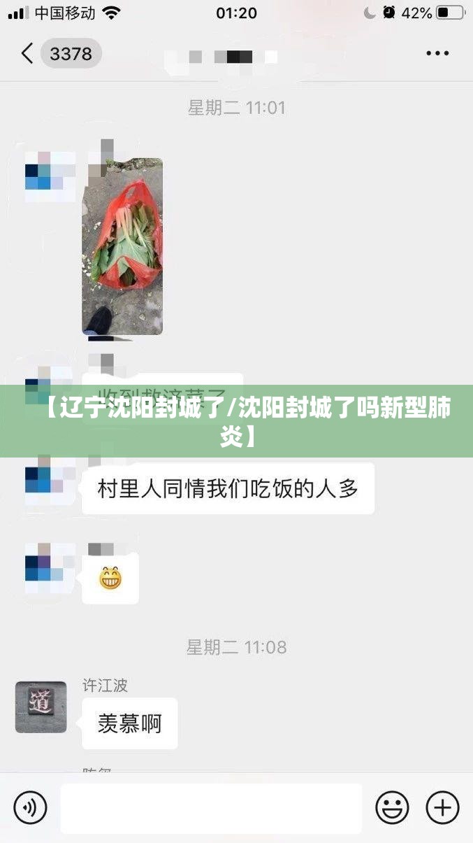 【辽宁沈阳封城了/沈阳封城了吗新型肺炎】