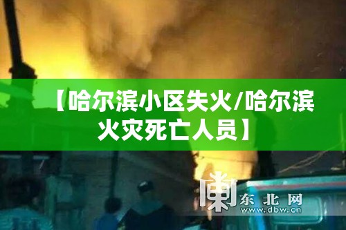 【哈尔滨小区失火/哈尔滨火灾死亡人员】