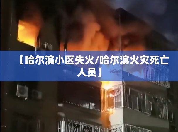 【哈尔滨小区失火/哈尔滨火灾死亡人员】