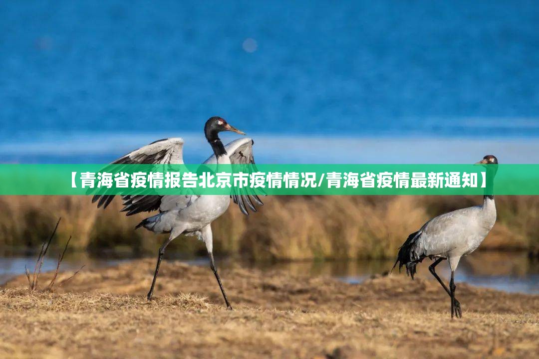 【青海省疫情报告北京市疫情情况/青海省疫情最新通知】