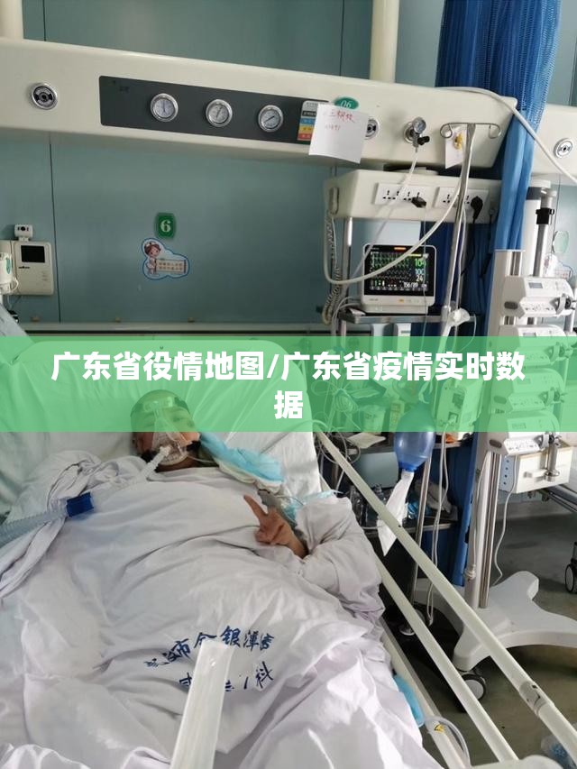 广东省役情地图/广东省疫情实时数据