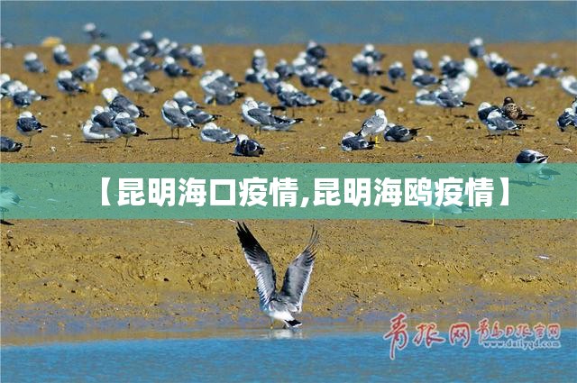 【昆明海口疫情,昆明海鸥疫情】
