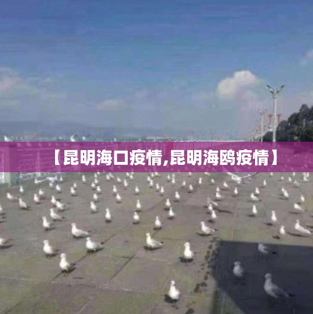 【昆明海口疫情,昆明海鸥疫情】