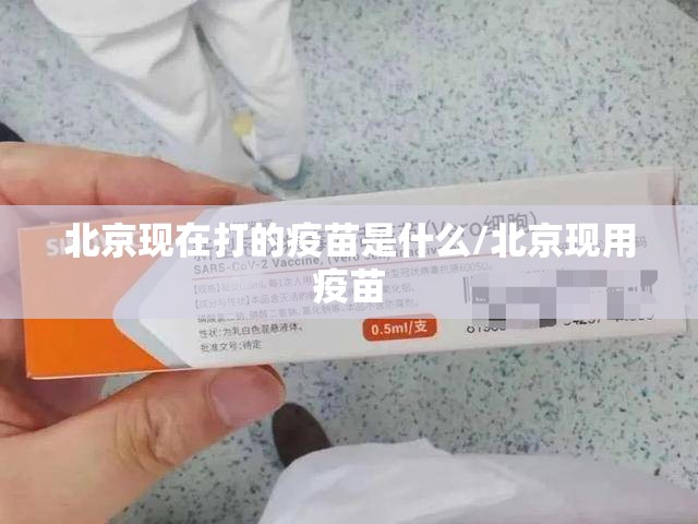 北京现在打的疫苗是什么/北京现用疫苗
