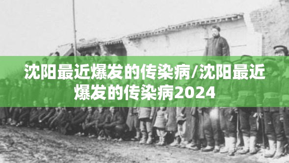 沈阳最近爆发的传染病/沈阳最近爆发的传染病2024