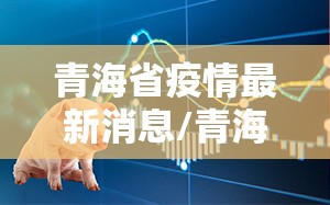 青海省疫情最新消息/青海省 疫情