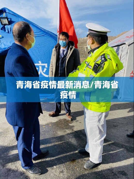 青海省疫情最新消息/青海省 疫情