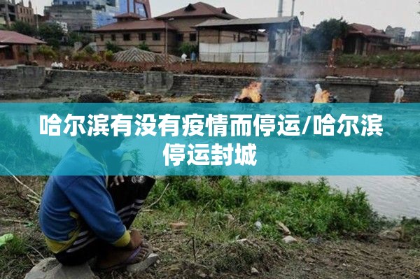 哈尔滨有没有疫情而停运/哈尔滨停运封城