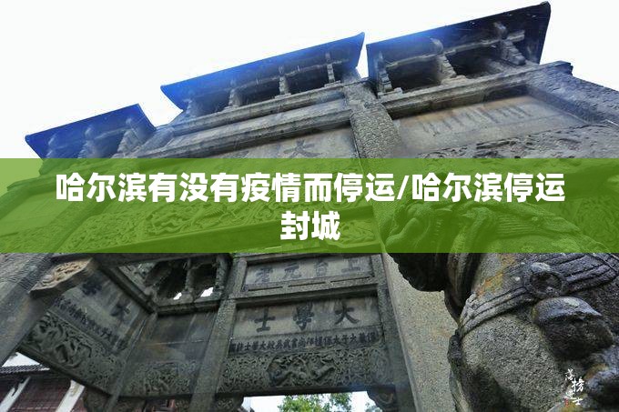 哈尔滨有没有疫情而停运/哈尔滨停运封城