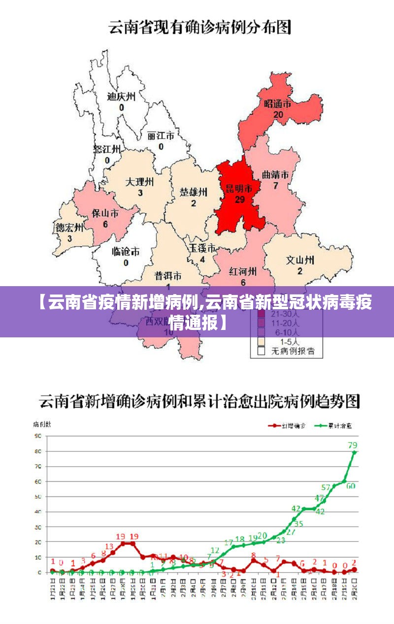 【云南省疫情新增病例,云南省新型冠状病毒疫情通报】