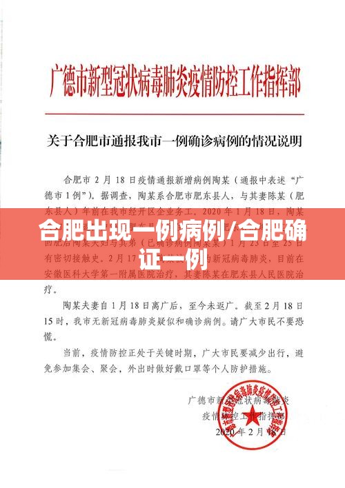 合肥出现一例病例/合肥确证一例
