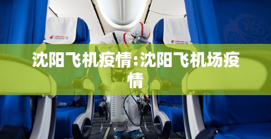 沈阳飞机疫情:沈阳飞机场疫情