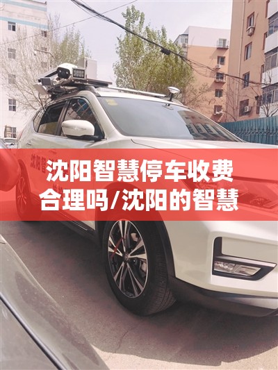沈阳智慧停车收费合理吗/沈阳的智慧停车多长时间起收费