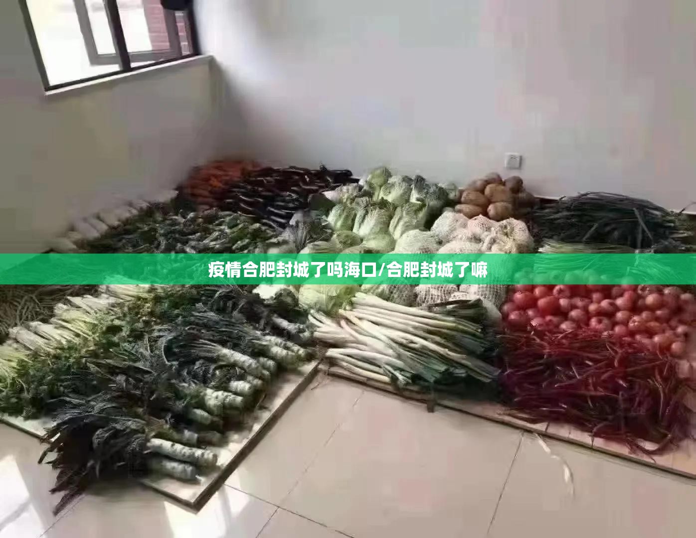 疫情合肥封城了吗海口/合肥封城了嘛