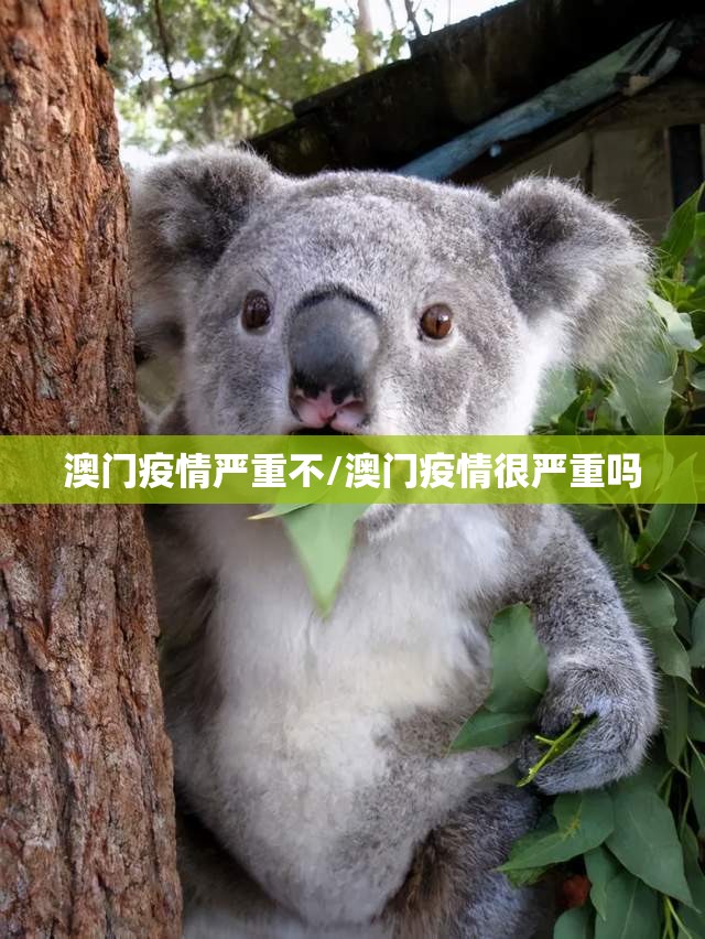 澳门疫情严重不/澳门疫情很严重吗