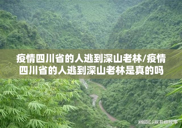 疫情四川省的人逃到深山老林/疫情四川省的人逃到深山老林是真的吗