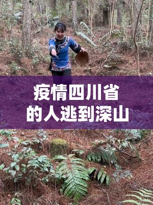 疫情四川省的人逃到深山老林/疫情四川省的人逃到深山老林是真的吗