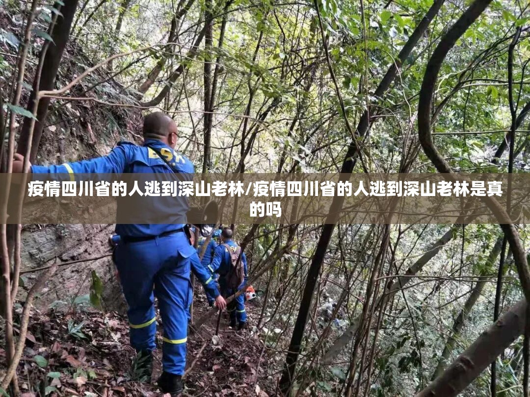疫情四川省的人逃到深山老林/疫情四川省的人逃到深山老林是真的吗