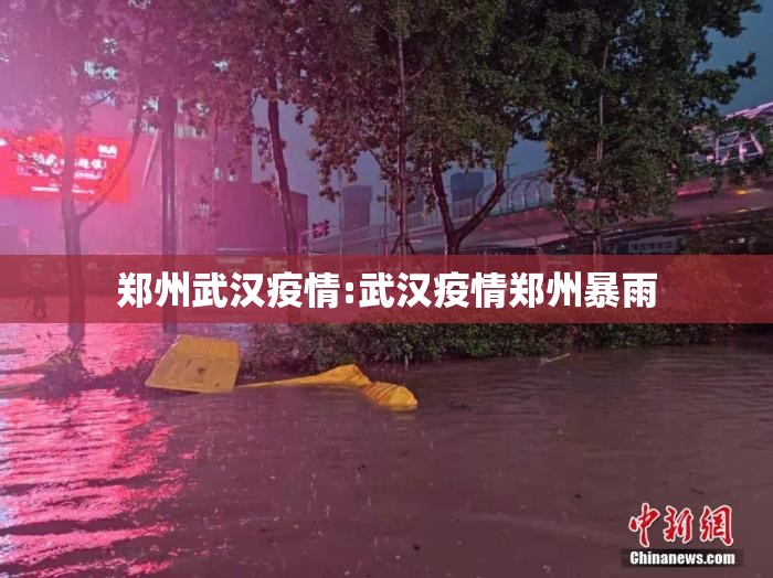 郑州武汉疫情:武汉疫情郑州暴雨