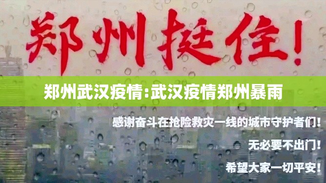 郑州武汉疫情:武汉疫情郑州暴雨