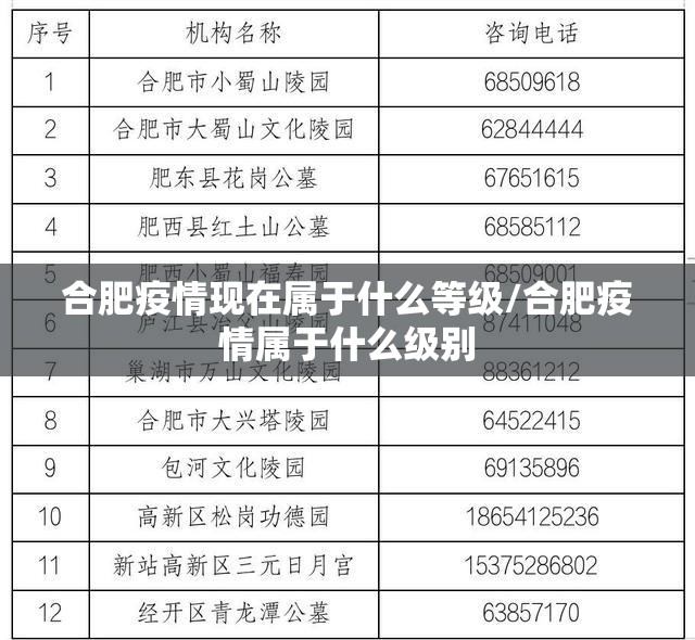 合肥疫情现在属于什么等级/合肥疫情属于什么级别