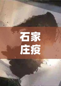 石家庄疫情到底死了多少人/石家庄疫情死亡人数多大了