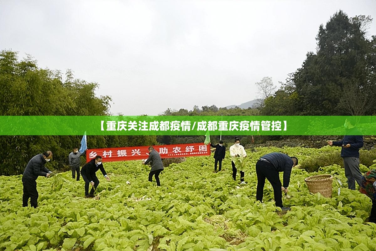【重庆关注成都疫情/成都重庆疫情管控】