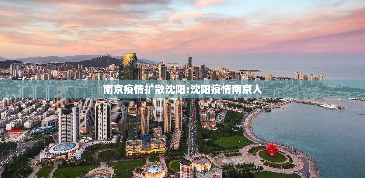 南京疫情扩散沈阳:沈阳疫情南京人