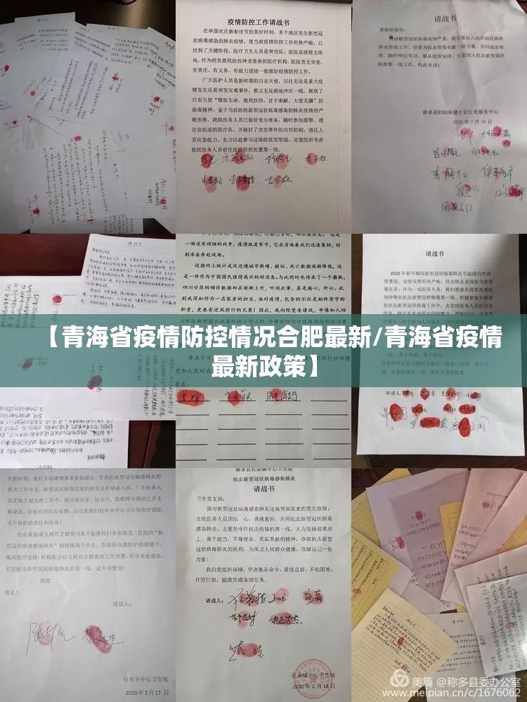 【青海省疫情防控情况合肥最新/青海省疫情最新政策】