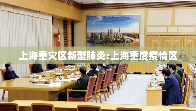 上海重灾区新型肺炎:上海重度疫情区