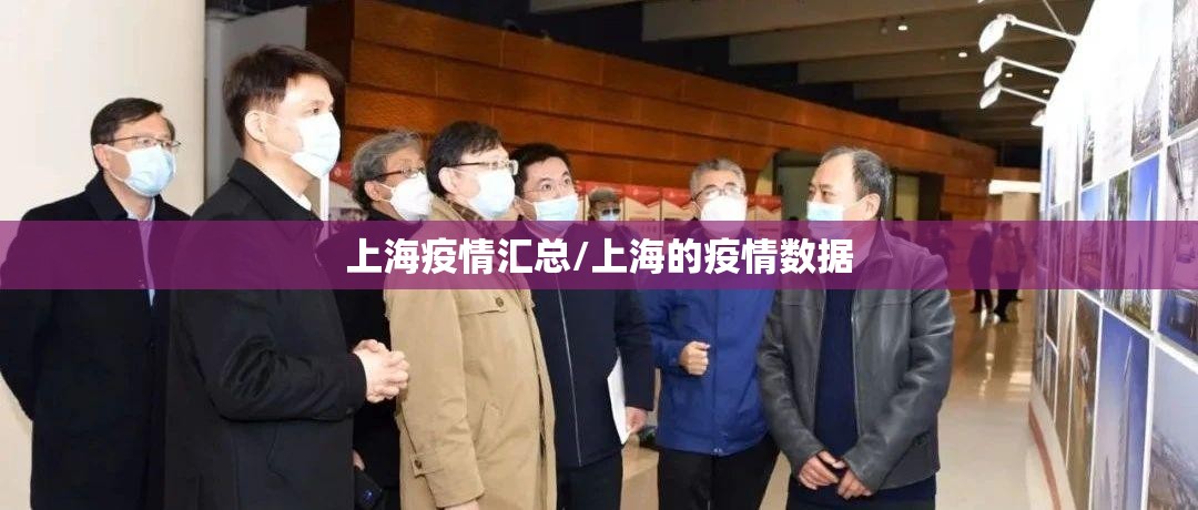 上海疫情汇总/上海的疫情数据