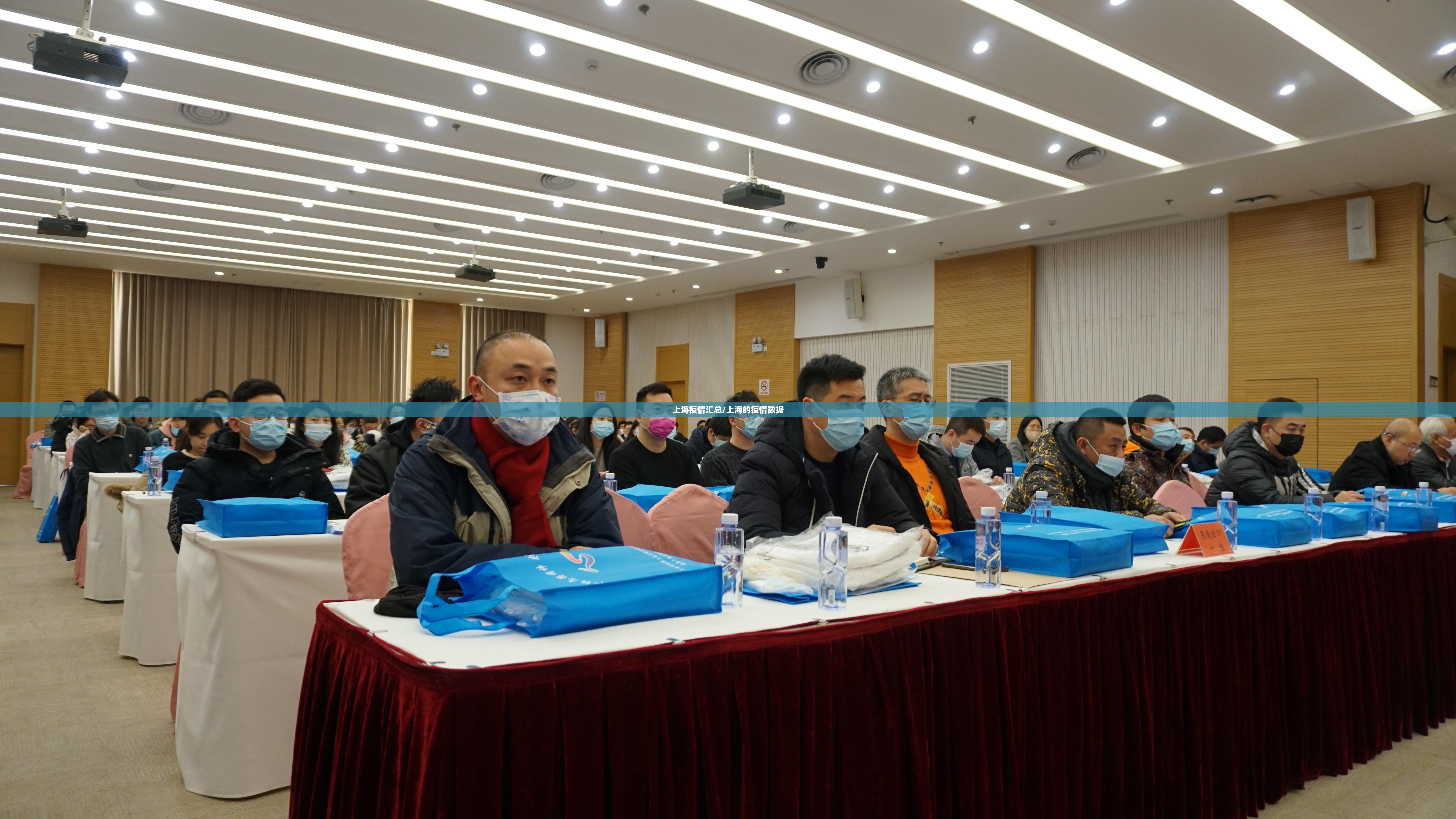 上海疫情汇总/上海的疫情数据