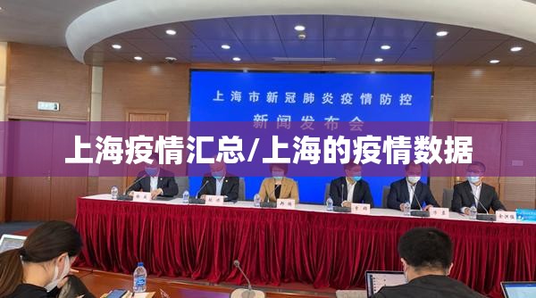 上海疫情汇总/上海的疫情数据