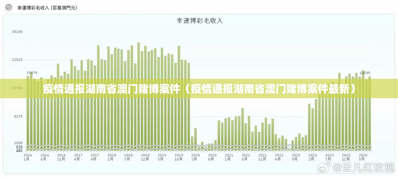 疫情通报湖南省澳门赌博案件（疫情通报湖南省澳门赌博案件最新）