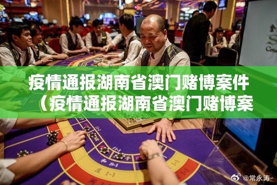 疫情通报湖南省澳门赌博案件（疫情通报湖南省澳门赌博案件最新）