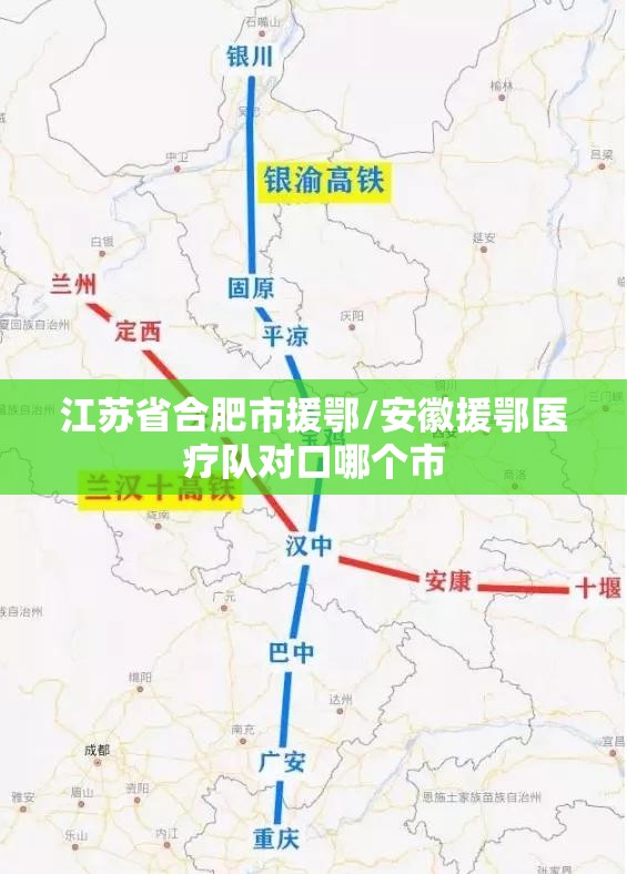 江苏省合肥市援鄂/安徽援鄂医疗队对口哪个市