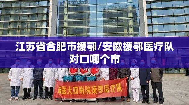 江苏省合肥市援鄂/安徽援鄂医疗队对口哪个市