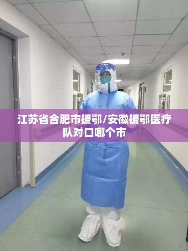 江苏省合肥市援鄂/安徽援鄂医疗队对口哪个市